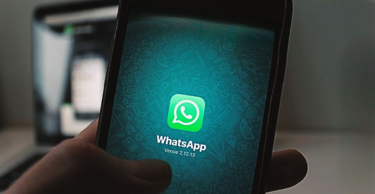 "WhatsApp Plus Paid Subscription custom themes feature